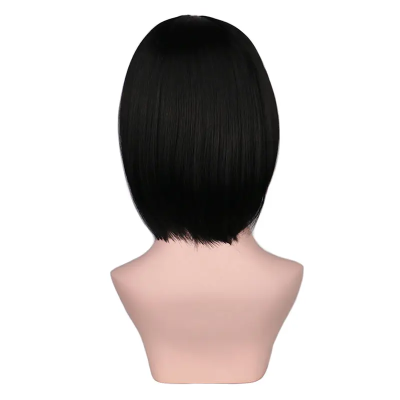 QQXCAIW Short Straight Attack on Titan Cosplay Wigs Mikasa Black Heat Resistant Synthetic Hair Wigs
QQXCAIW Short Straight Attack on Titan Cosplay Wigs Mikasa Black Heat Resistant Synthetic Hair Wigs