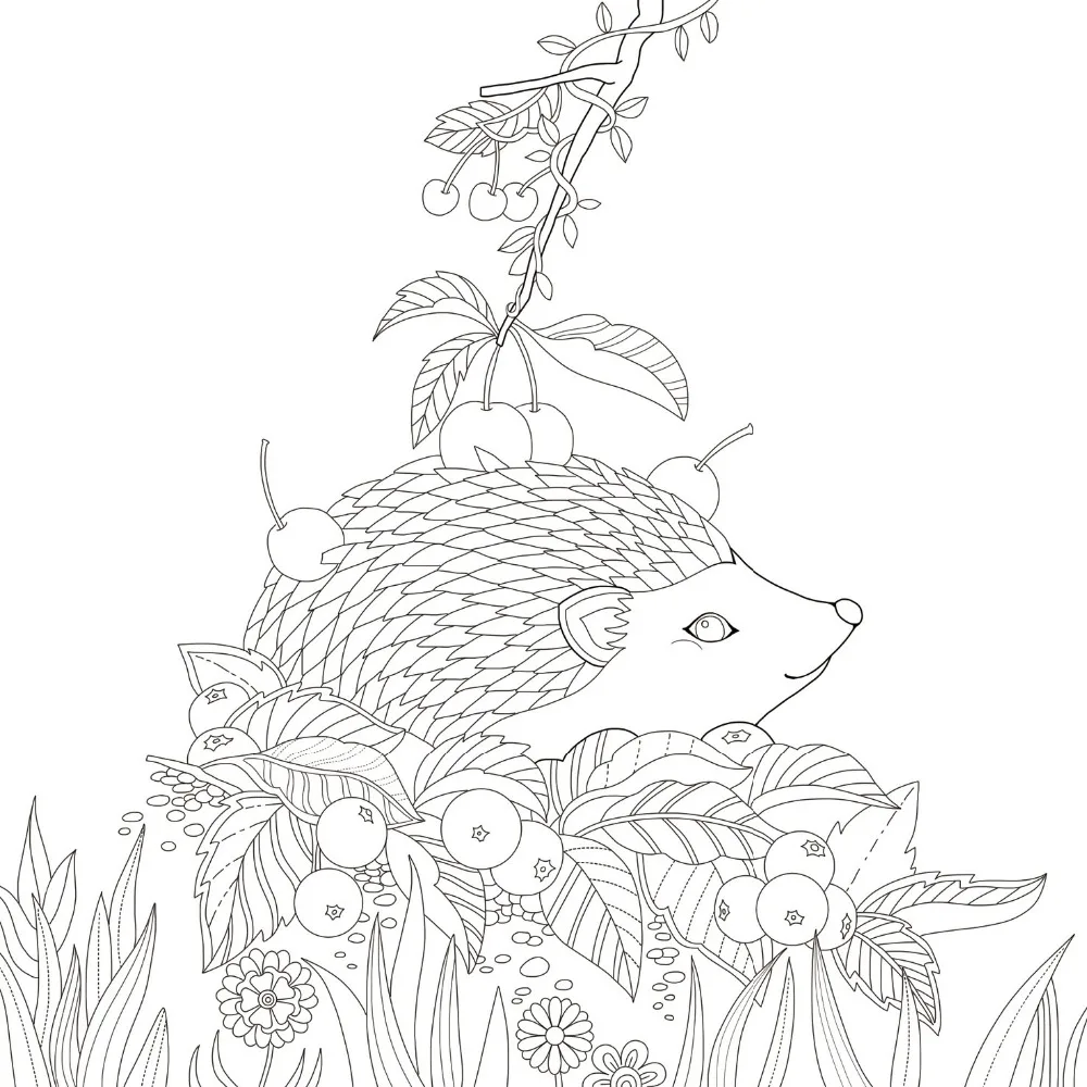 Книжка-раскраска для взрослых Elven лес секретная садовая книжка-раскраска стиль