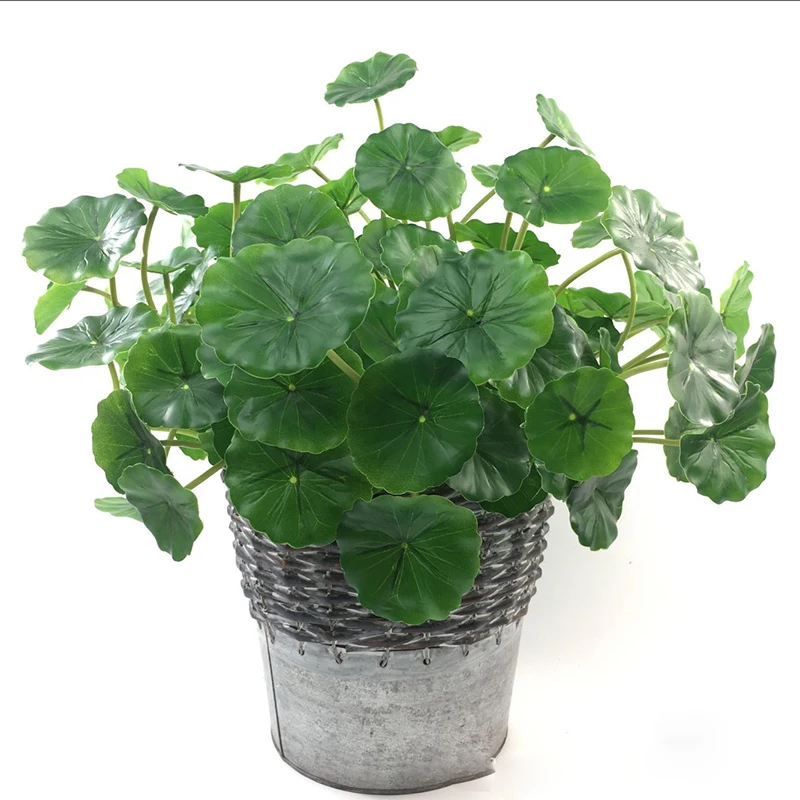 Искусственная медь, деньги, трава, цветок, комнатное цветочное Горшечное зеленое растение 
Искусственная медь, деньги, трава, цветок, комнатное цветочное Горшечное зеленое растение