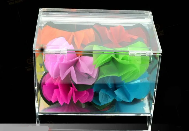 Crystal Box Appearing Flower Transparent Box Acrylic Material - Stage Magic Mentalism Magie Professionnelle Illusion Amazing Tri
Crystal Box Appearing Flower Transparent Box Acrylic Material - Stage Magic Mentalism Magie Professionnelle Illusion Amazing Tri