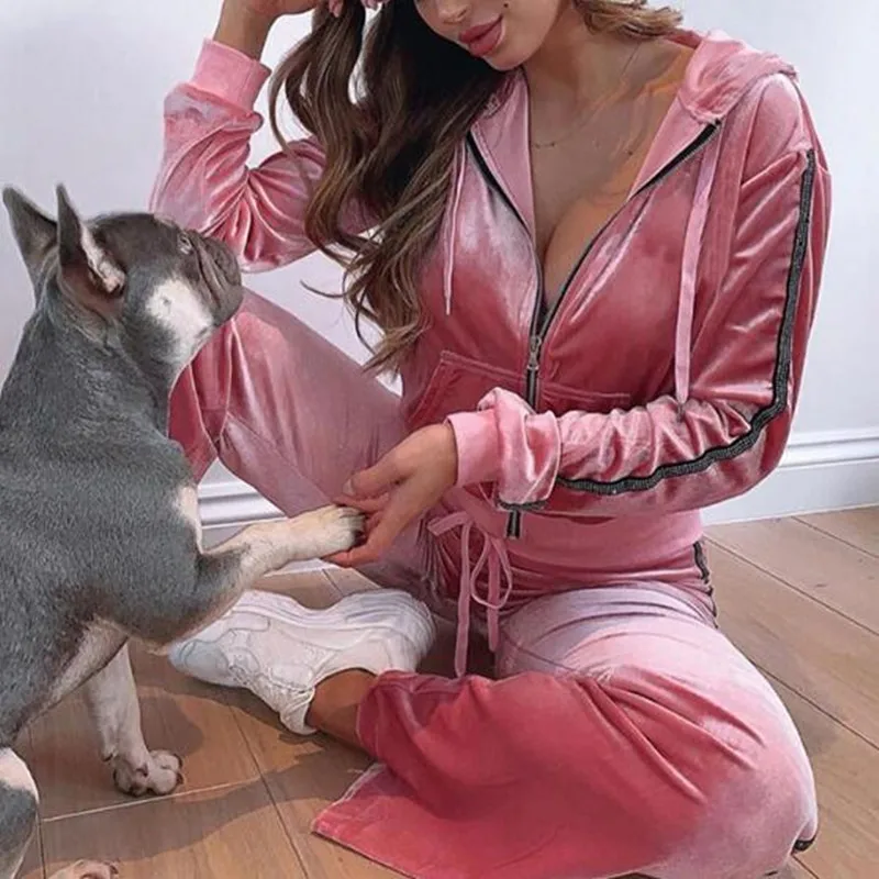 Autumn Two Piece Set Women Hooded Top and Pants Blue Velour Tracksuit Diamante Long Sleeve Zip Up Hoodie Suit Set Clothes
Autumn Two Piece Set Women Hooded Top and Pants Blue Velour Tracksuit Diamante Long Sleeve Zip Up Hoodie Suit Set Clothes