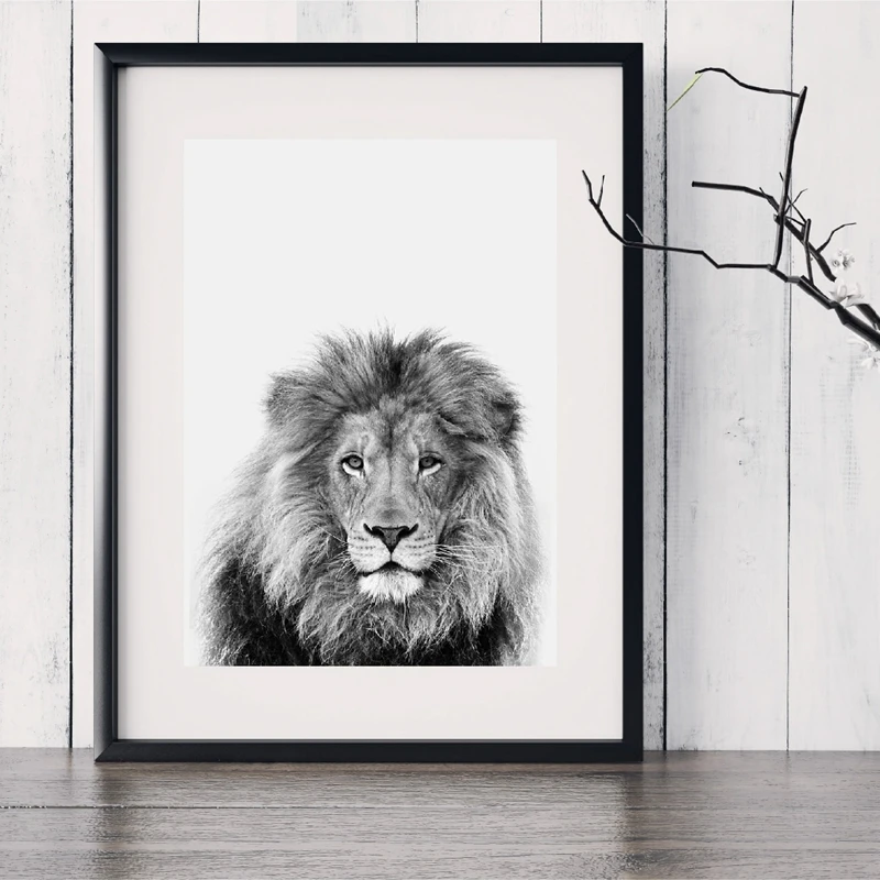 Modern Black And White Animal Lion Art Canvas Painting Wall Picture Safari Lion Photo Art Prints And Poster Home Decor
Modern Black And White Animal Lion Art Canvas Painting Wall Picture Safari Lion Photo Art Prints And Poster Home Decor