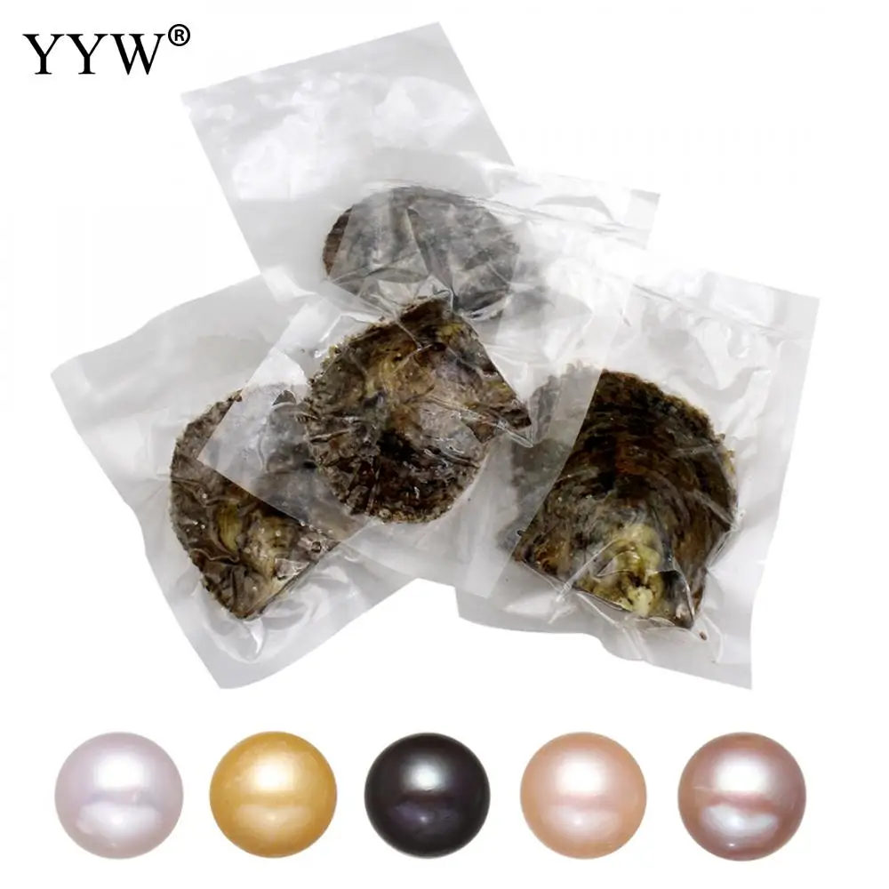 1PC 9-10mm Vacuum pack Oyster Akoya pearl High Quality pearl oysters single bowling individually packaged Birthday Wedding Gift
1PC 9-10mm Vacuum pack Oyster Akoya pearl High Quality pearl oysters single bowling individually packaged Birthday Wedding Gift