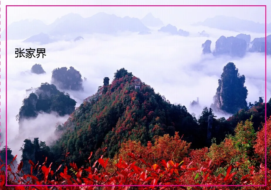 World Souvenir Magnets over $12,Chinese ZhangJiaJie Souvenir Photo Fridge Magnet 5626 Travel Gift
World Souvenir Magnets over $12,Chinese ZhangJiaJie Souvenir Photo Fridge Magnet 5626 Travel Gift