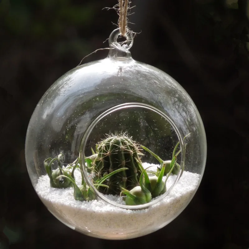 8pcs/pack Diameter=20cm Big Size Transparent Glass Terrarium Vase Home Decoration Hanging Globe DIY Friend Gift Wedding Prop
8pcs/pack Diameter=20cm Big Size Transparent Glass Terrarium Vase Home Decoration Hanging Globe DIY Friend Gift Wedding Prop