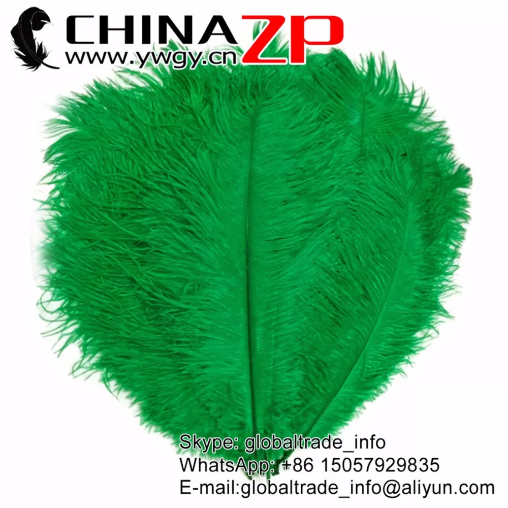 Wholesale in CHINAZP Factory Size 35-40cm(14-16inch) 500pcs/lot Hot Sale Dyed Kelly Green Ostrich Plumes Feathers
Wholesale in CHINAZP Factory Size 35-40cm(14-16inch) 500pcs/lot Hot Sale Dyed Kelly Green Ostrich Plumes Feathers