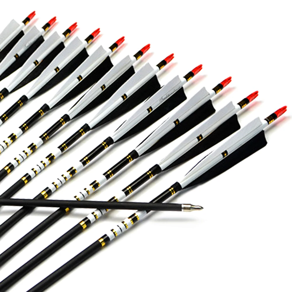 AF 12Pcs Mix Carbon Spine 500 Archery Carbon Arrow Turkey Feather For Shooting Arrows Archery Recurve Bow arrows
AF 12Pcs Mix Carbon Spine 500 Archery Carbon Arrow Turkey Feather For Shooting Arrows Archery Recurve Bow arrows