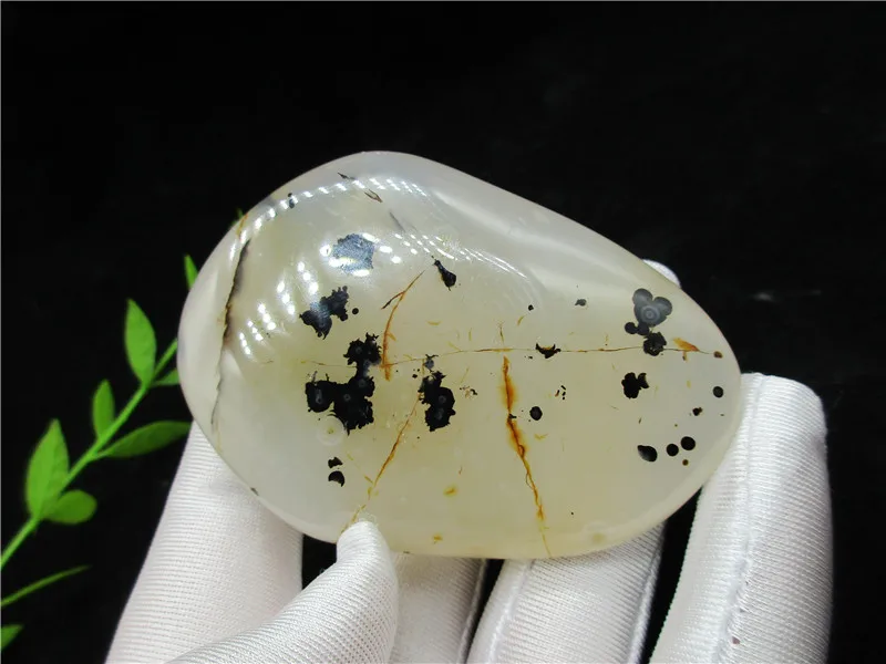 Beautiful Natural Polished Aquatic Plants Agate Crystal Stonee Carving Crafts From Madagascar 108g
Beautiful Natural Polished Aquatic Plants Agate Crystal Stonee Carving Crafts From Madagascar 108g