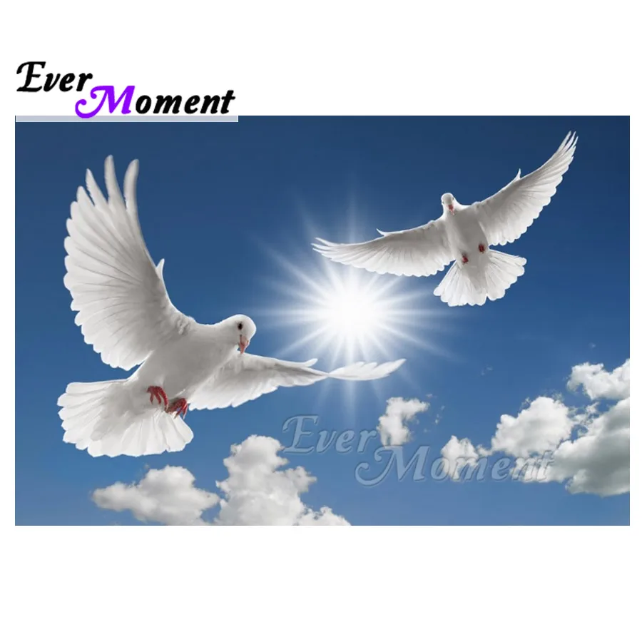 Ever Moment Diamond Painting Full Square Drill Flying Pigeon Sky Mosaic Picture Rhinestone Diamond Embroidery Decoration 3F745
Ever Moment Diamond Painting Full Square Drill Flying Pigeon Sky Mosaic Picture Rhinestone Diamond Embroidery Decoration 3F745