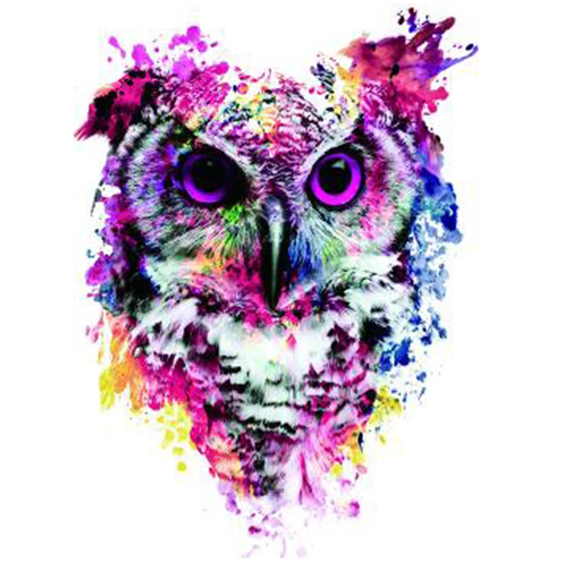5D round diamond DIY diamond embroidery "painted owl" wall stickers stitch mosaic decorative gifts wall decor
5D round diamond DIY diamond embroidery "painted owl" wall stickers stitch mosaic decorative gifts wall decor