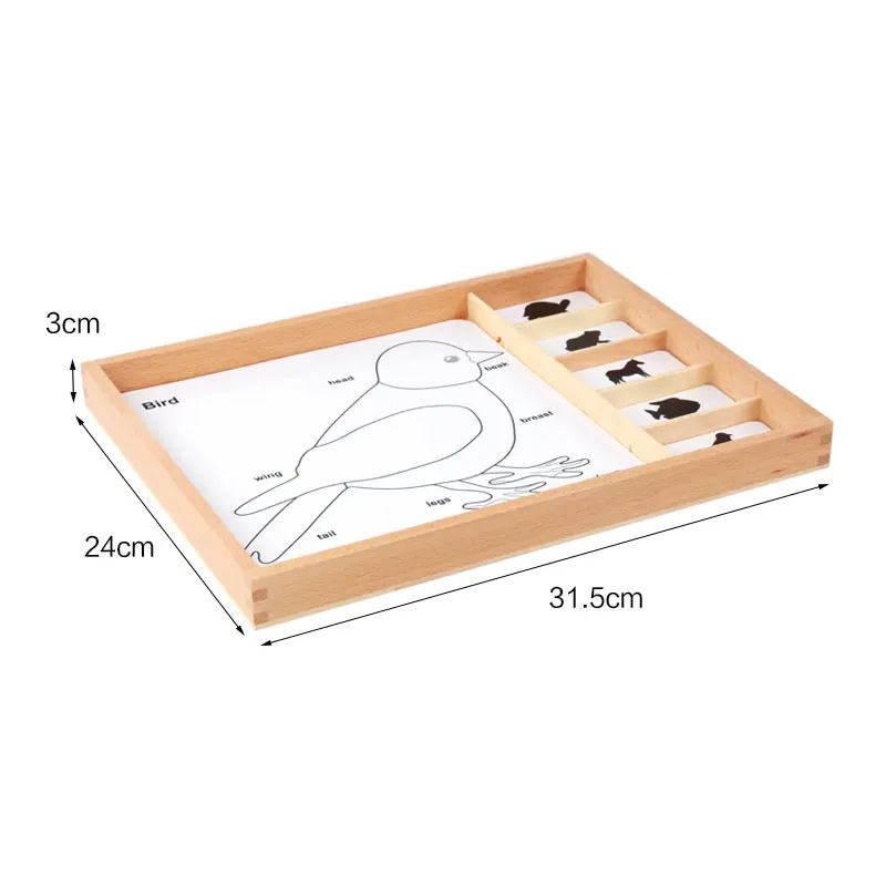 Montessori Language Material Botany Card Three Part Cards Learning Educational Toys for Toddlers Juguetes Montessori MI2944H
Montessori Language Material Botany Card Three Part Cards Learning Educational Toys for Toddlers Juguetes Montessori MI2944H