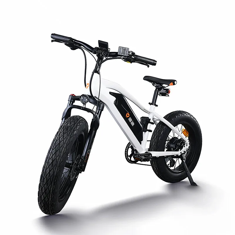 yadea electric assisted bicycle e-bike mountain bike 20 inch fat tyre shimano transmission top quality famous brand
yadea electric assisted bicycle e-bike mountain bike 20 inch fat tyre shimano transmission top quality famous brand