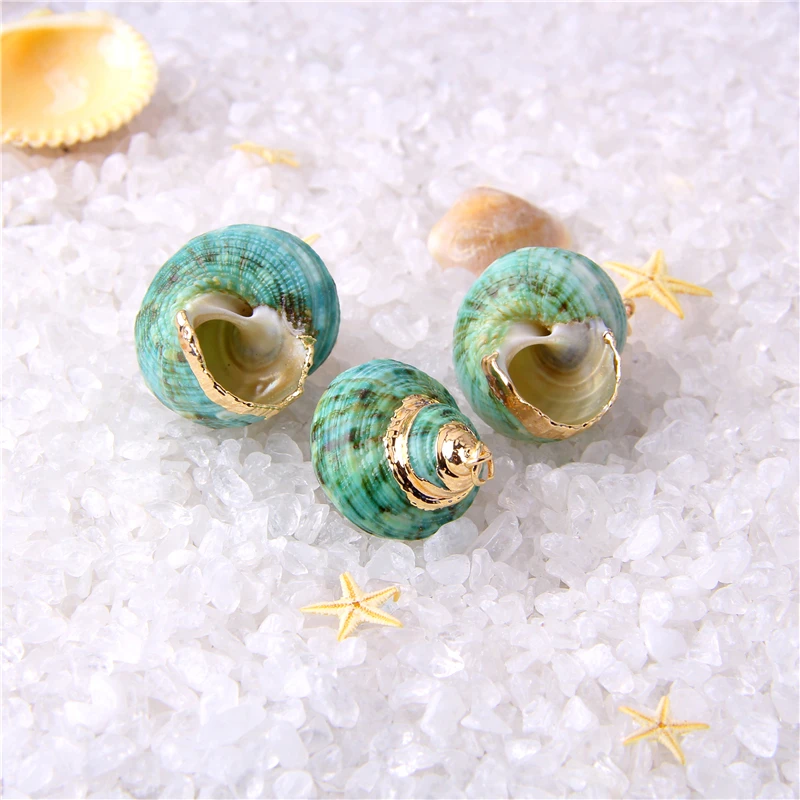 3PCS Natural Sea Shells Charms Gold Color Plated Loose Spiral Shell Green Cowrie Shell Craft DIY for Necklace for Jewelry Making
3PCS Natural Sea Shells Charms Gold Color Plated Loose Spiral Shell Green Cowrie Shell Craft DIY for Necklace for Jewelry Making