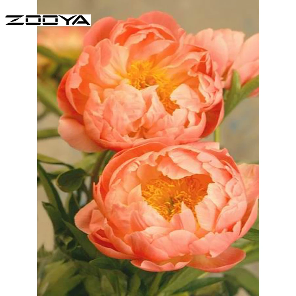 Diamond Painting Two Peony flowers Cross Stitch Pasted Painting Diamond Embroidery Square Drill Needlework Home Decoration F586
Diamond Painting Two Peony flowers Cross Stitch Pasted Painting Diamond Embroidery Square Drill Needlework Home Decoration F586