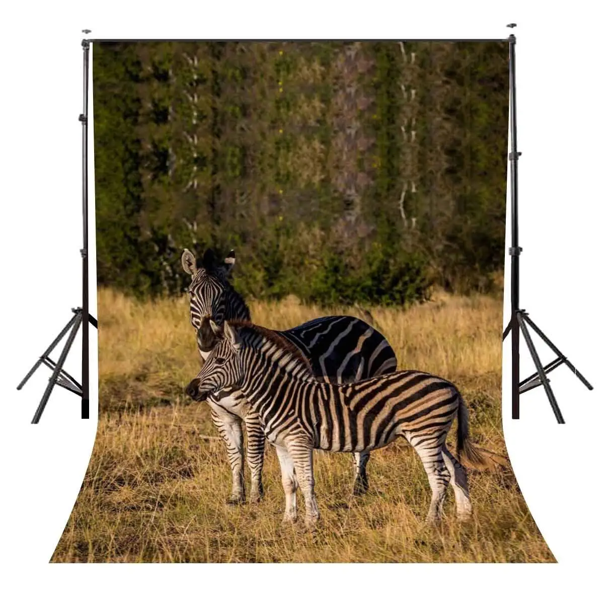5x7ft задний фон для студийной фотосъемки с остановкой зебры для путешествий на открытом воздухе
5x7ft задний фон для студийной фотосъемки с остановкой зебры для путешествий на открытом воздухе