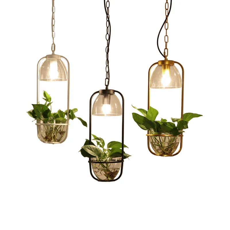 Scandinavian garden plant chandelier restaurant bar iron glass personalized shop balcony water culture Chandelier
Scandinavian garden plant chandelier restaurant bar iron glass personalized shop balcony water culture Chandelier