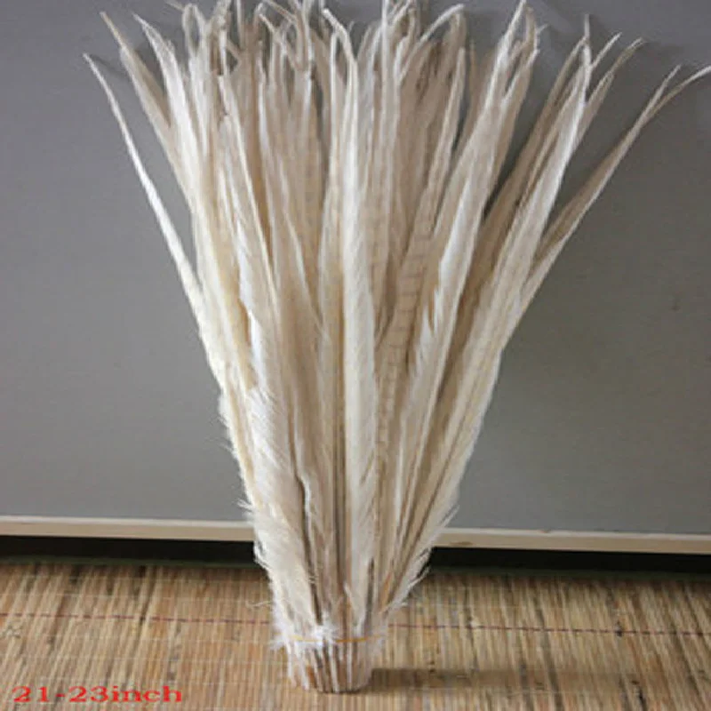 High quality natural white chicken tail feathers 20 PCS 20-22 inches / 50 to 55 cm
High quality natural white chicken tail feathers 20 PCS 20-22 inches / 50 to 55 cm