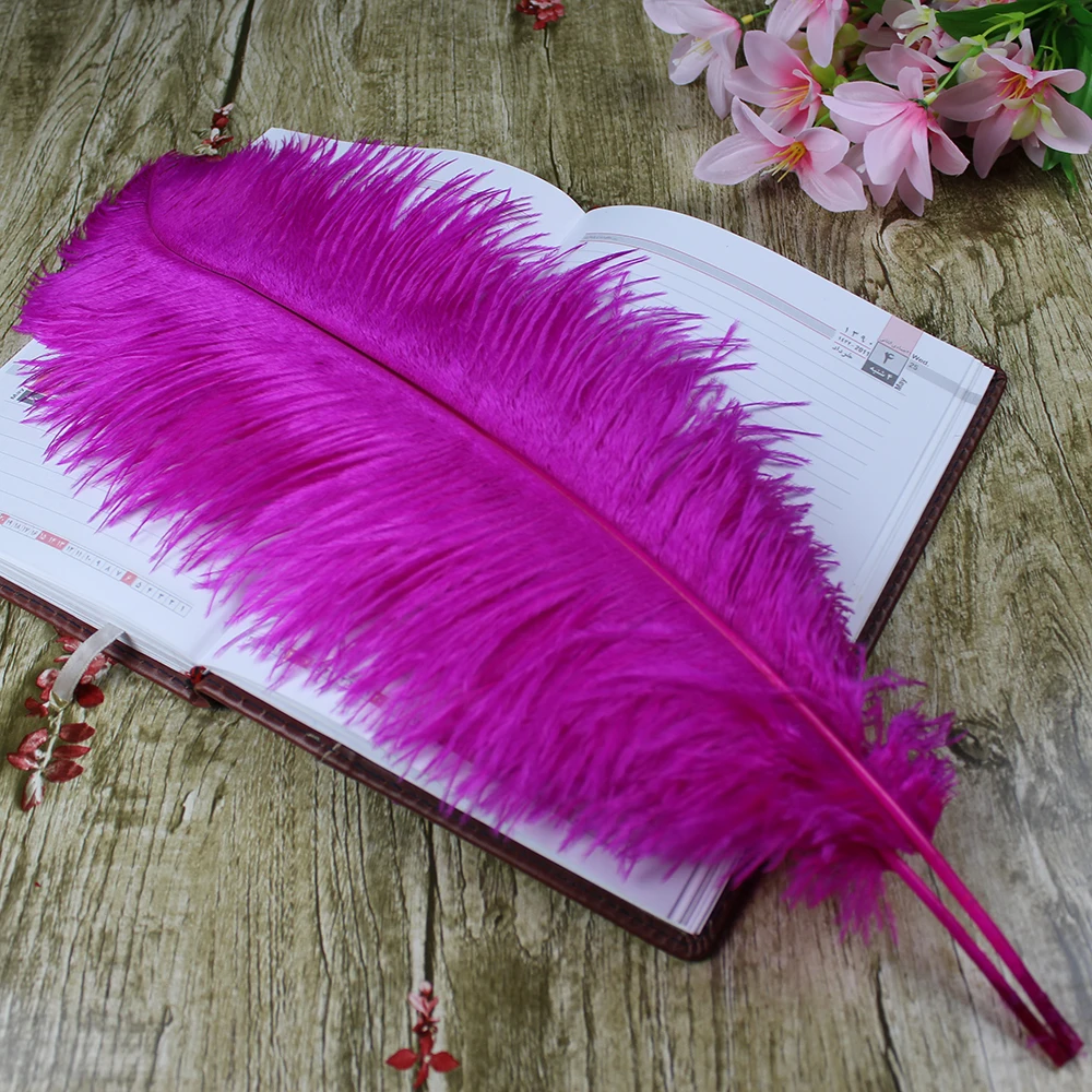 10PCS ostrich feather natural rose ostrich plumage 45-50 cm/18-20 inches wedding performance art plumes decoration
10PCS ostrich feather natural rose ostrich plumage 45-50 cm/18-20 inches wedding performance art plumes decoration