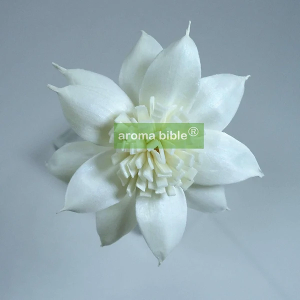 1000 pcs /lot Handmade sola wood flowers for fragrance diffuser and home decor with 12cm Rope or rattan reed sticks Top quality
1000 pcs /lot Handmade sola wood flowers for fragrance diffuser and home decor with 12cm Rope or rattan reed sticks Top quality