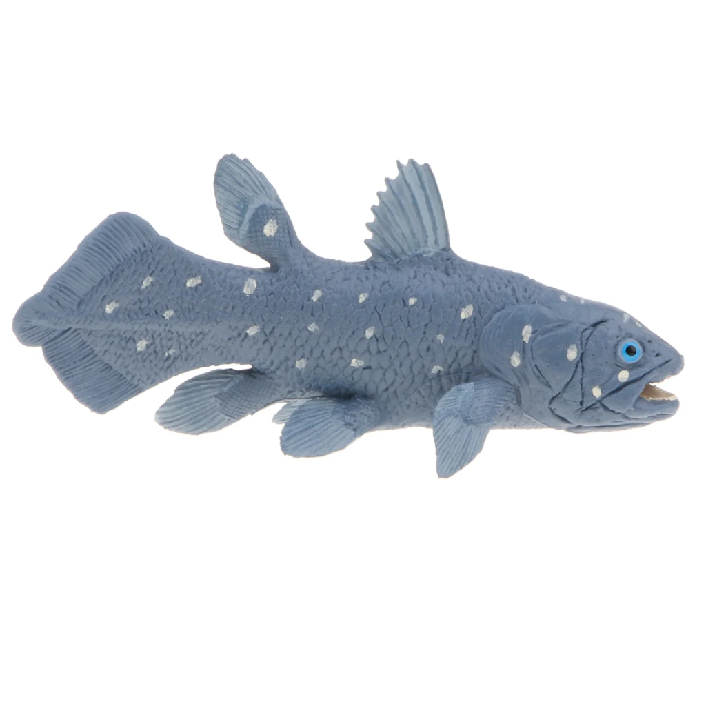 Realistic Marine Fish Model Figurines, 5 Inch Coelacanth Action Figure Toy for Kids, Science Educational Toy
Realistic Marine Fish Model Figurines, 5 Inch Coelacanth Action Figure Toy for Kids, Science Educational Toy