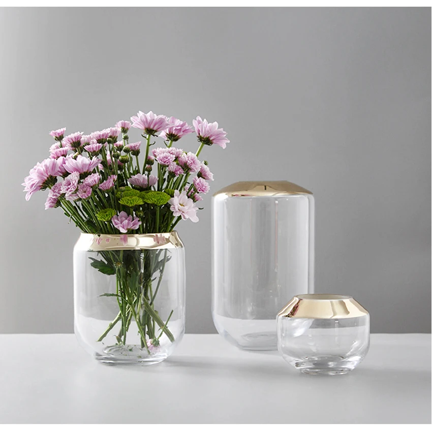 Creative Gilded glass vase Hydroponic apparatus terrarium flower vase nordic decoration home vases for centerpieces for weddings
Creative Gilded glass vase Hydroponic apparatus terrarium flower vase nordic decoration home vases for centerpieces for weddings
