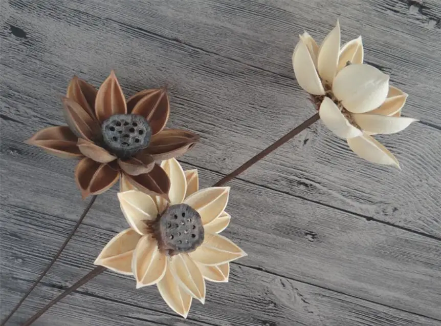 5pcs Natural Dried White/Brown Lotus Flowers with Iron Wire For Wedding Party Home Hotel Vase Decoration DIY Bouquet Accessory
5pcs Natural Dried White/Brown Lotus Flowers with Iron Wire For Wedding Party Home Hotel Vase Decoration DIY Bouquet Accessory