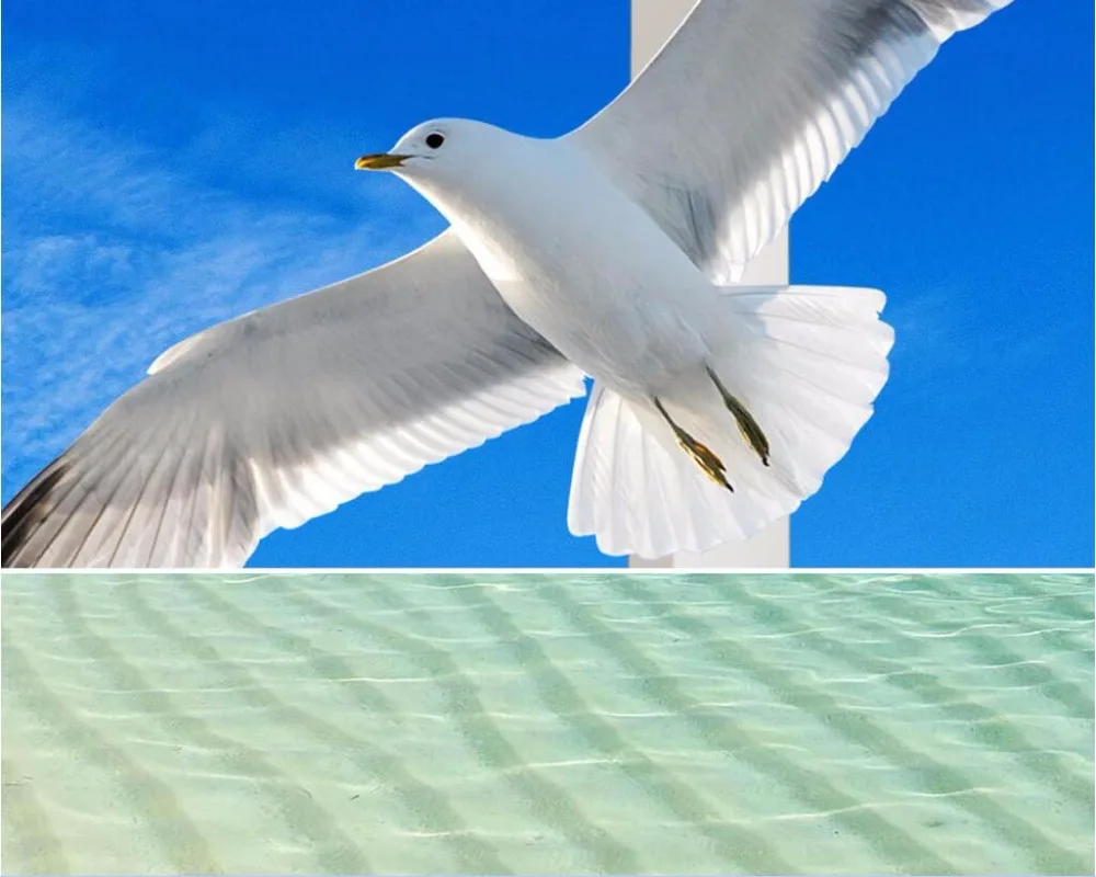 Custom photo mural 3d wallpaper maldives sea view decoration painting picture 3d wall murals wallpaper for living room walls 3 d
Custom photo mural 3d wallpaper maldives sea view decoration painting picture 3d wall murals wallpaper for living room walls 3 d