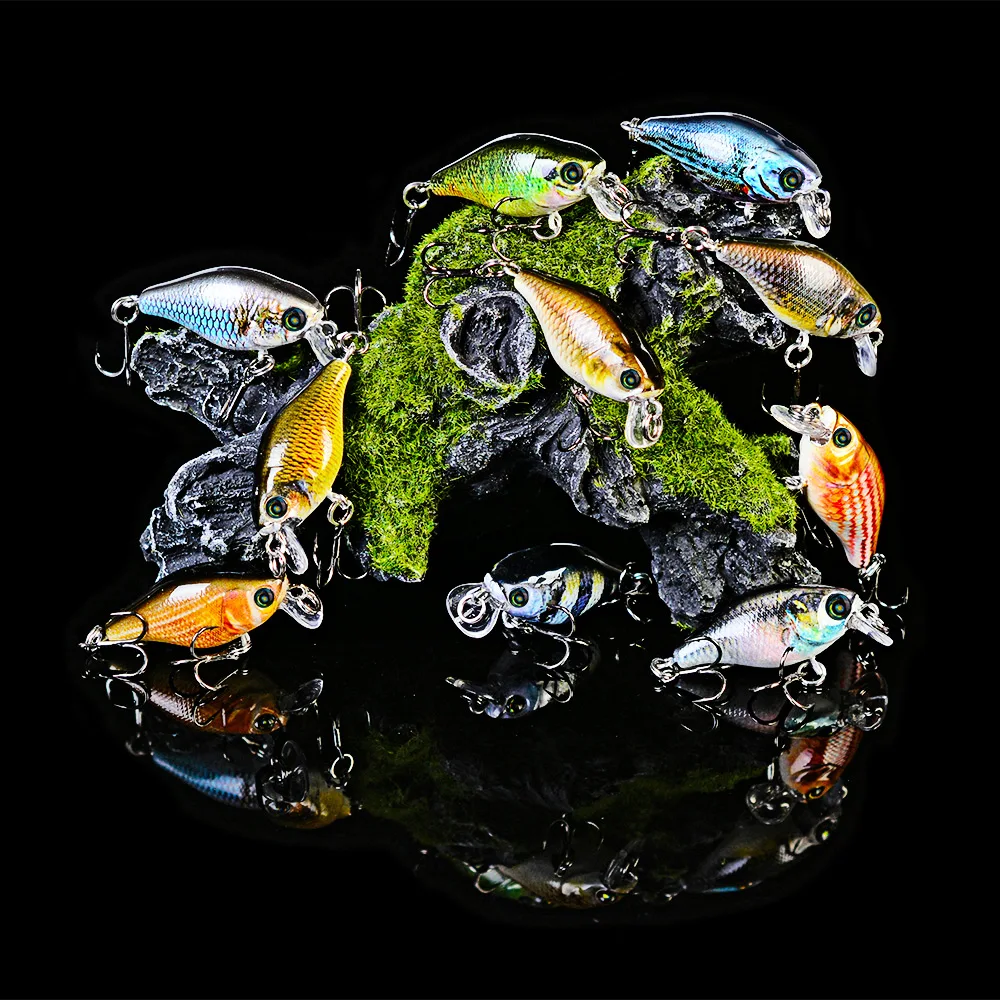 10PC Comdaba Crankbait 10 Color Fishing lure Hard Bait 0.14oz-4g/1.7"-4.5cm Crank Fishing Bait Fishing Tackle 10# Hook Crank Set
10PC Comdaba Crankbait 10 Color Fishing lure Hard Bait 0.14oz-4g/1.7"-4.5cm Crank Fishing Bait Fishing Tackle 10# Hook Crank Set