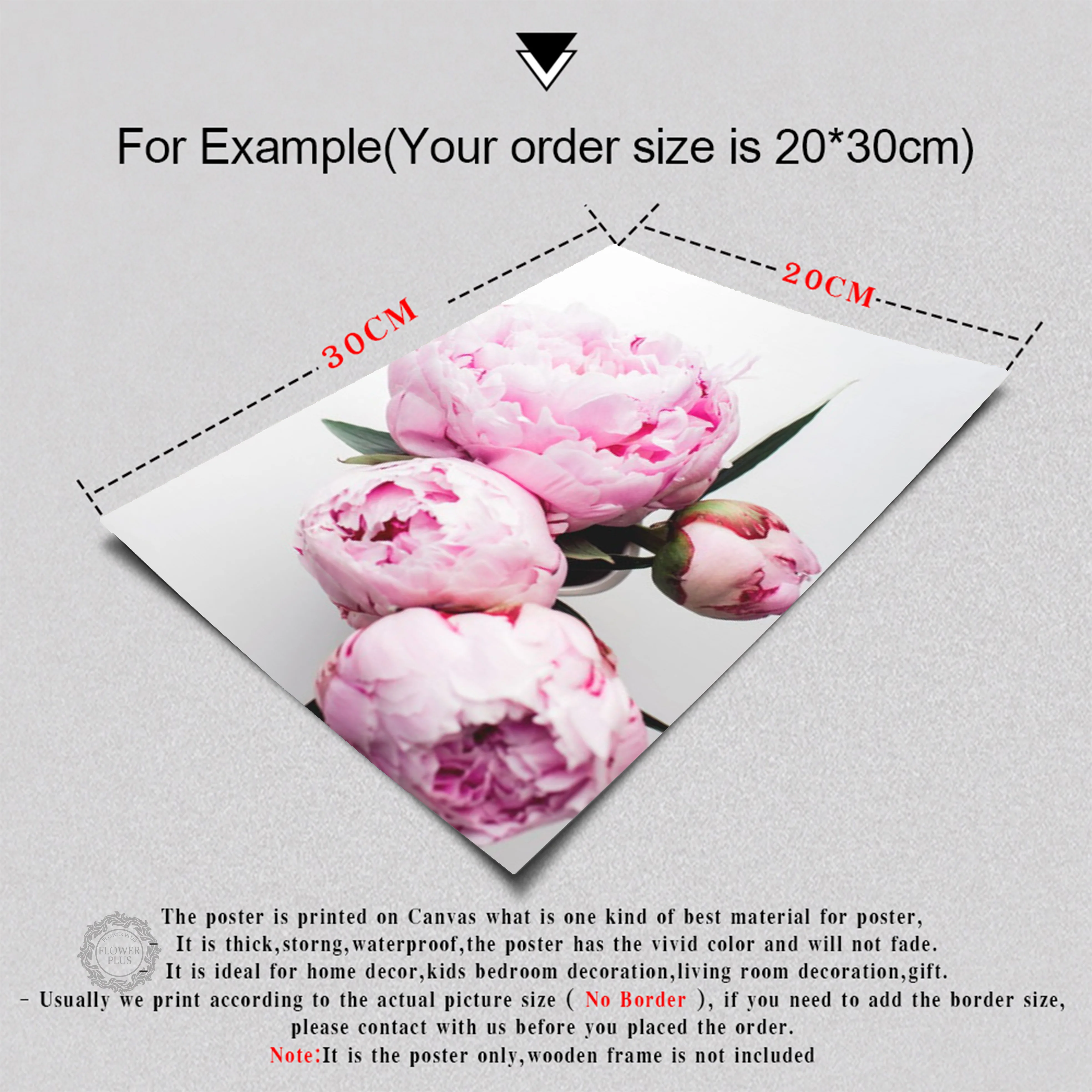 Canvas Painting Nordic Decor Elegant Peony Flower Phrase Poster And Print Wall Art Picture For Living Room Home Decoration
Canvas Painting Nordic Decor Elegant Peony Flower Phrase Poster And Print Wall Art Picture For Living Room Home Decoration