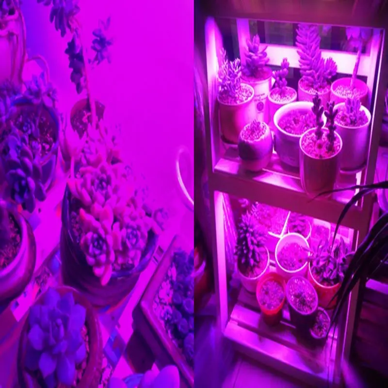 LED E27 Full Spectrum Led Grow Light 220V Red Blue UV IR Led Growing Lamp For Greenhouse Hydroponics Flowers Plants Vegetables
LED E27 Full Spectrum Led Grow Light 220V Red Blue UV IR Led Growing Lamp For Greenhouse Hydroponics Flowers Plants Vegetables