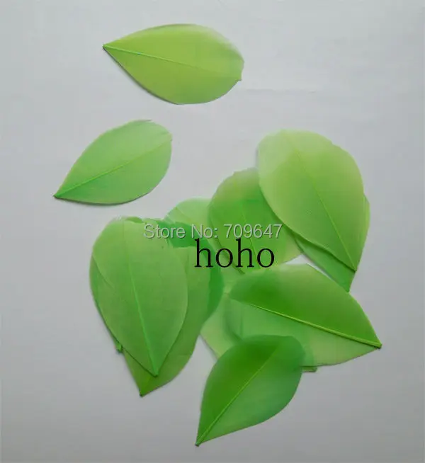 200Pcs/lot!3-6cm Lime Green/Light Green Trimmed Goose Feathers,Feather Petals,Green Trimmed Feathers for DIY Craft
200Pcs/lot!3-6cm Lime Green/Light Green Trimmed Goose Feathers,Feather Petals,Green Trimmed Feathers for DIY Craft