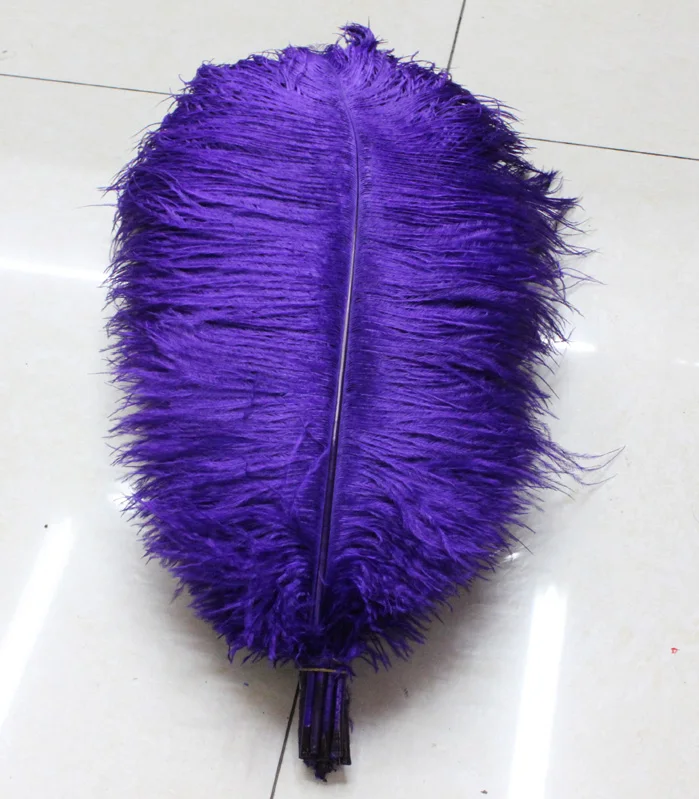 Hot! Free shipping manufacturers selling 50 PCS purple ostrich feathers 8-10inches/20-25cm
Hot! Free shipping manufacturers selling 50 PCS purple ostrich feathers 8-10inches/20-25cm