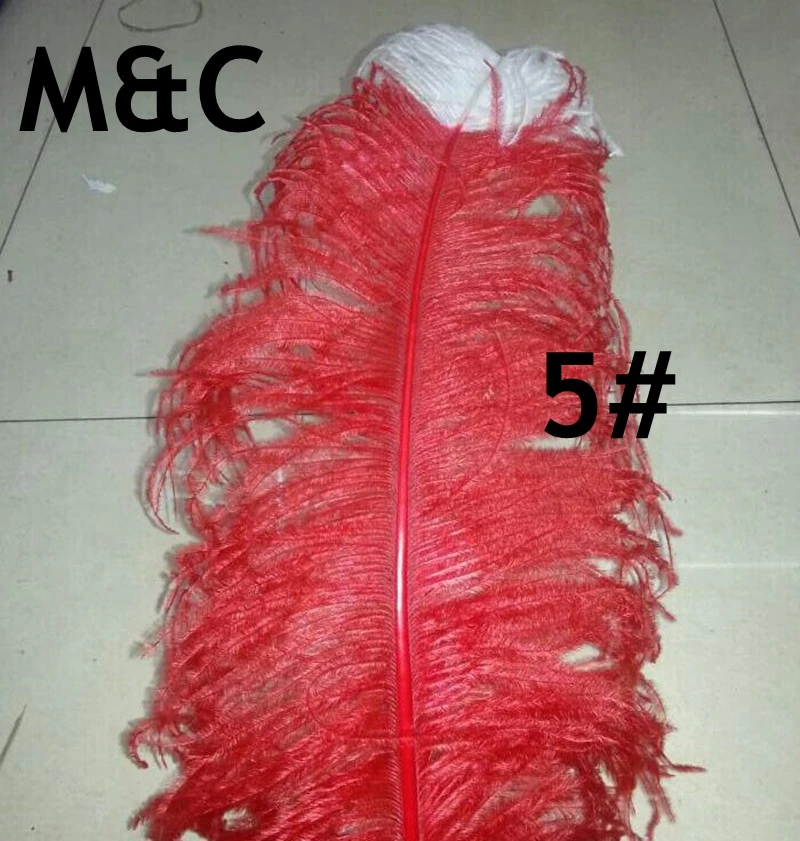 50pcs High quality big pole ostrich feathers white tipped with red ostrich feathers 50-55cm DIY Two color Feathers for crafts 5#
50pcs High quality big pole ostrich feathers white tipped with red ostrich feathers 50-55cm DIY Two color Feathers for crafts 5#