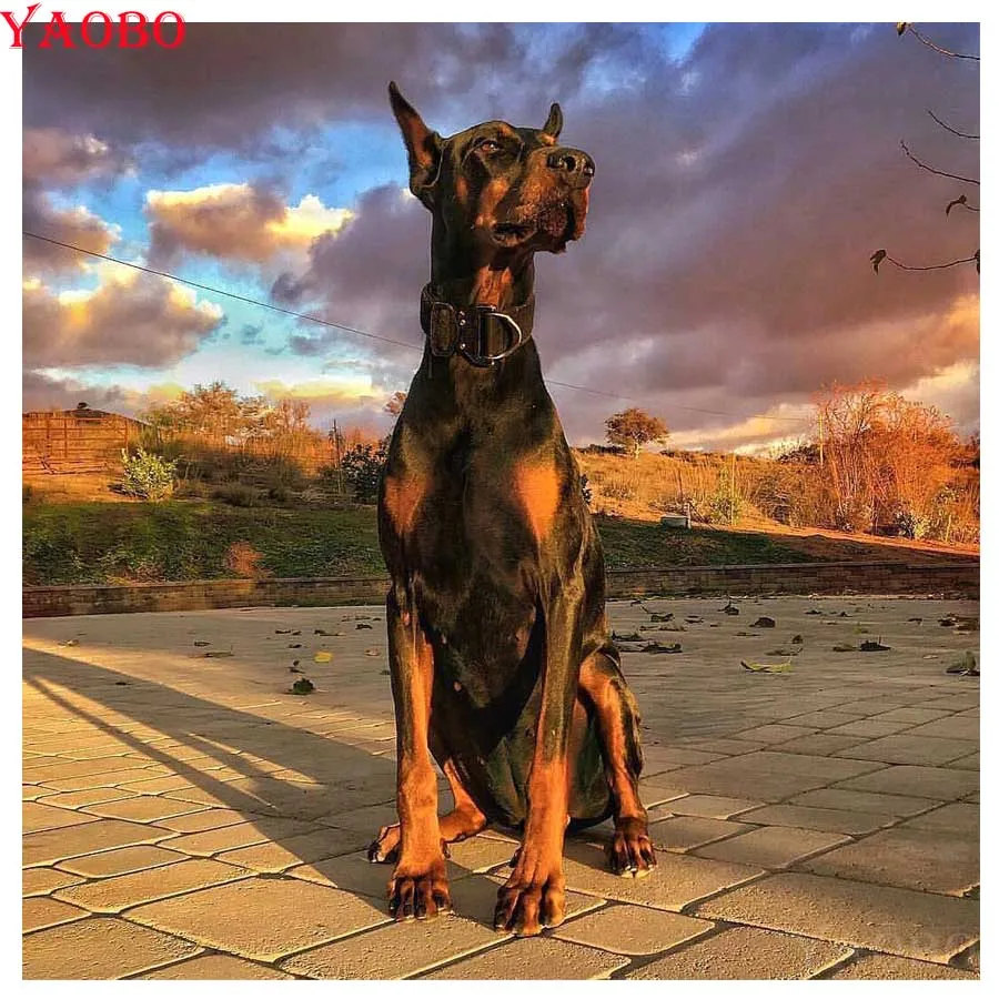 full drill 5D cross stitch Doberman pinscher square round diamond painting crystal diy diamond Mosaic diamond embroidery sale
full drill 5D cross stitch Doberman pinscher square round diamond painting crystal diy diamond Mosaic diamond embroidery sale