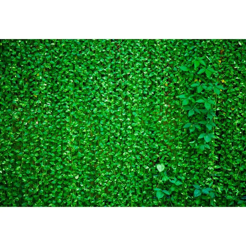 7x5ft Solid Green Vine Grass Leaf Wall Custom Photo Studio Background Backdrop Vinyl Banner 220cm x 150cm
7x5ft Solid Green Vine Grass Leaf Wall Custom Photo Studio Background Backdrop Vinyl Banner 220cm x 150cm