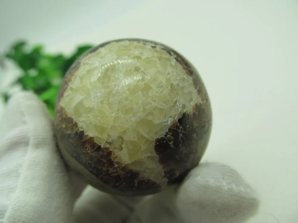Natural Turtle Quartz Crystal Sphere Globe Ball Chakra Healing Reiki Stone Carving Crafts for
Natural Turtle Quartz Crystal Sphere Globe Ball Chakra Healing Reiki Stone Carving Crafts for