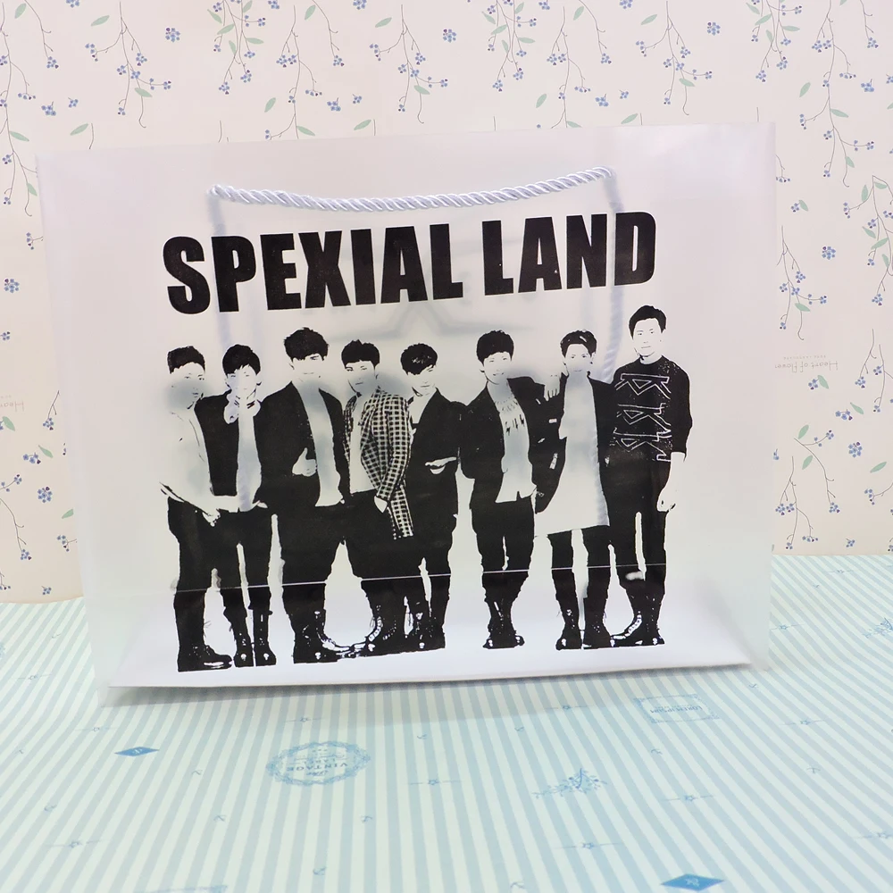 custom shopping handle frosted pp gift bag/plastic packaging pvc bag for garment/printed LOGO promotion bag 500pcs/lot
custom shopping handle frosted pp gift bag/plastic packaging pvc bag for garment/printed LOGO promotion bag 500pcs/lot