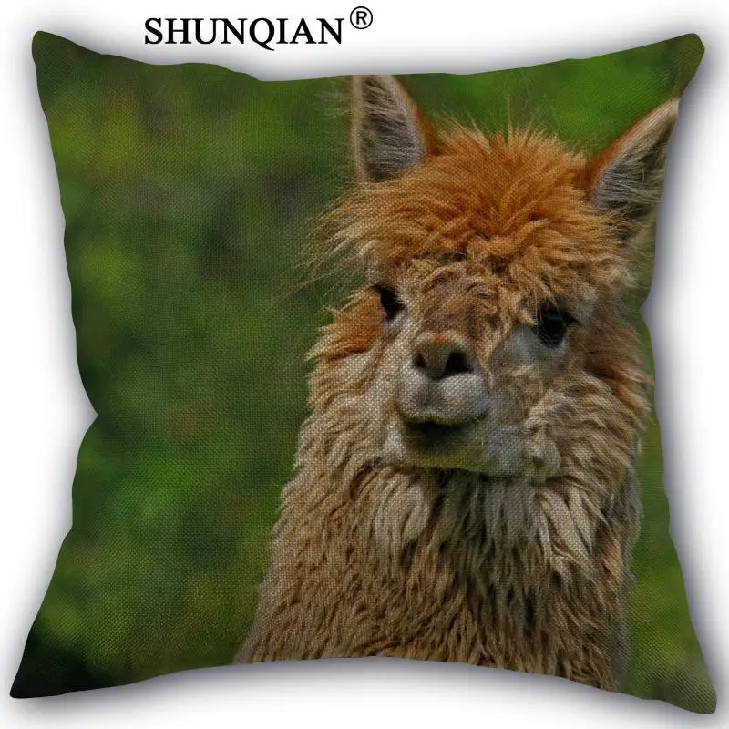 Custom alpaca pillowcase Custom Cotton Linen Throw Pillow Cover Pillowcase Customize 45x45cm one side
Custom alpaca pillowcase Custom Cotton Linen Throw Pillow Cover Pillowcase Customize 45x45cm one side