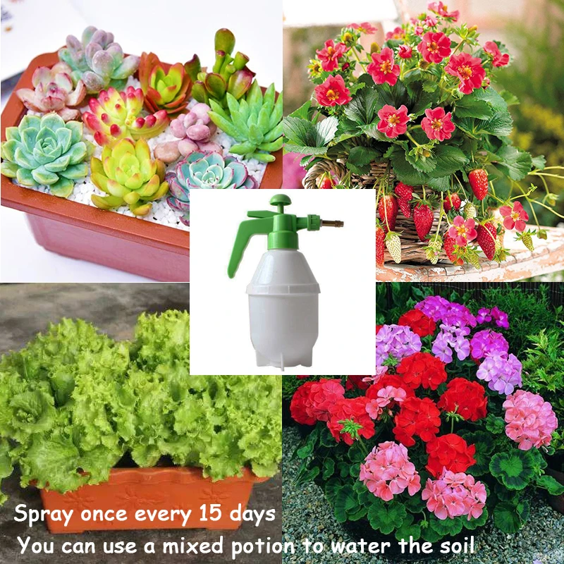 Professional Insecticide pyridaben Sanmite Special kill for Red Spider Insect Medicine Pesticide Protection Garden Plant
Professional Insecticide pyridaben Sanmite Special kill for Red Spider Insect Medicine Pesticide Protection Garden Plant