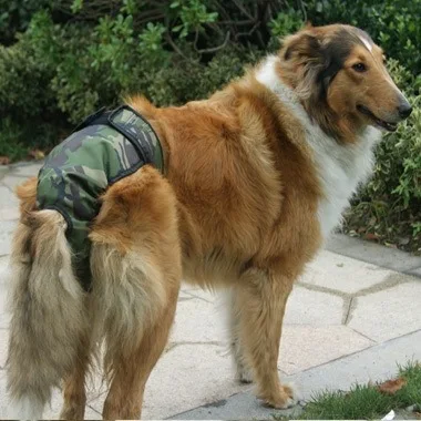 New Large Dog Costume Underwear Pet Dog Physiological Pants Menstrual Pants Dog Diapers Large Size L XL Free Shipping
New Large Dog Costume Underwear Pet Dog Physiological Pants Menstrual Pants Dog Diapers Large Size L XL Free Shipping