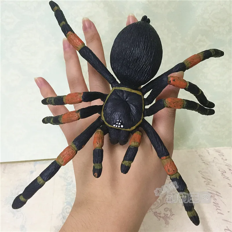 pvc figure model toy Simulation realistic animal model insect model toy teach big spider giant spider spider tarantula
pvc figure model toy Simulation realistic animal model insect model toy teach big spider giant spider spider tarantula