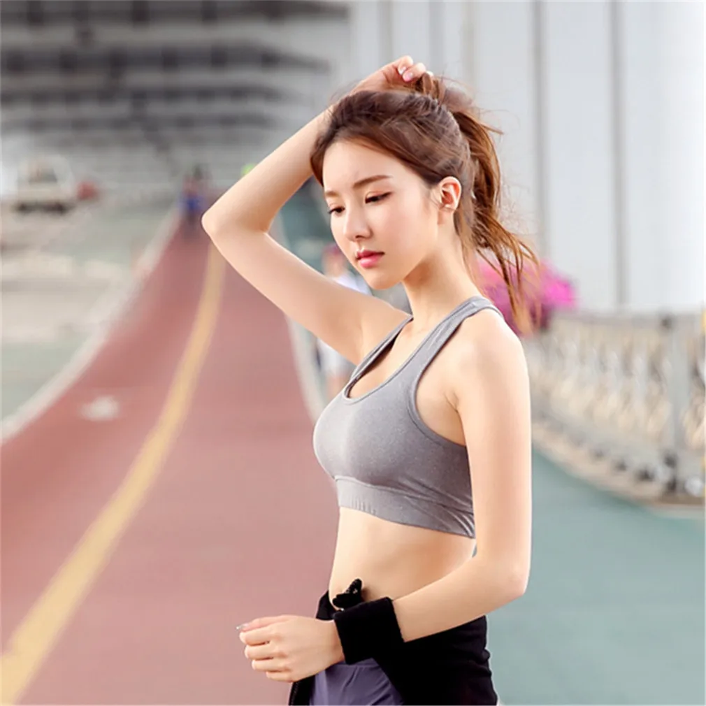 Absorb Sweatshirt Yoga Tops Quick Dry Breathable Running Solid Light Grey or Pink Corset Sports Bra Ladies Seamless Corset
Absorb Sweatshirt Yoga Tops Quick Dry Breathable Running Solid Light Grey or Pink Corset Sports Bra Ladies Seamless Corset