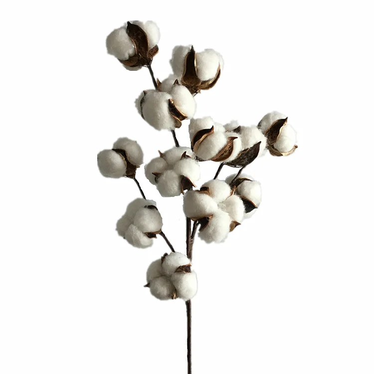 1pc 2018 Hot Sale 12 Heads Artificial Cotton Flowers Plants Dried Floral Stem for DIY Bouquet Decoration Home
1pc 2018 Hot Sale 12 Heads Artificial Cotton Flowers Plants Dried Floral Stem for DIY Bouquet Decoration Home