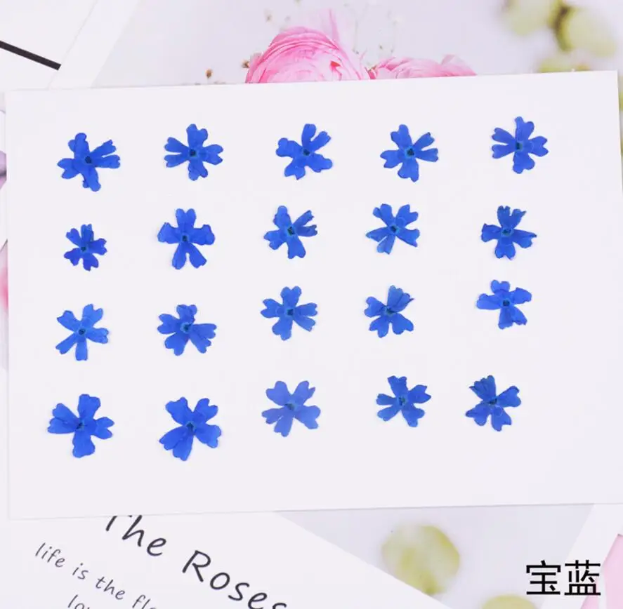 200pcs 10mm Pressed Dried Flower Cherry blossoms Filler For Epoxy Resin Jewelry Making Postcard Frame Phone Case Craft DIY
200pcs 10mm Pressed Dried Flower Cherry blossoms Filler For Epoxy Resin Jewelry Making Postcard Frame Phone Case Craft DIY