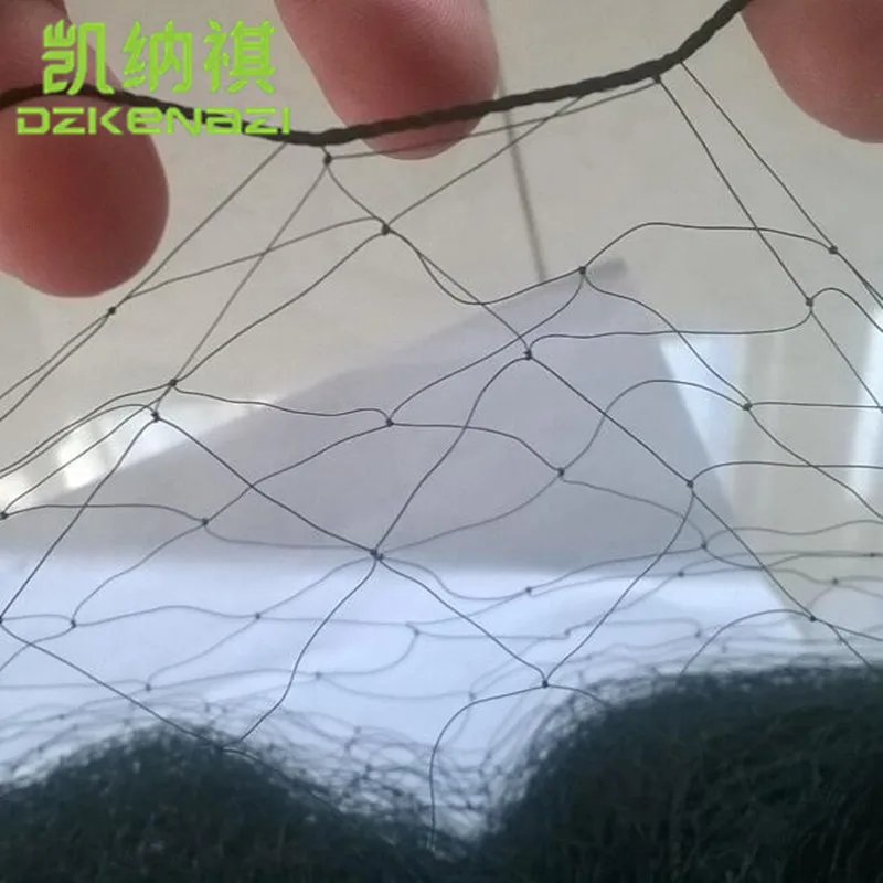 5 pcs/Lot 2.4 x 6 M Nylon monofilament 0.08mm 15mm Hole Orchard Garden Anti Bird Net Knotted Mist Net with 4 PCS Pockets
5 pcs/Lot 2.4 x 6 M Nylon monofilament 0.08mm 15mm Hole Orchard Garden Anti Bird Net Knotted Mist Net with 4 PCS Pockets