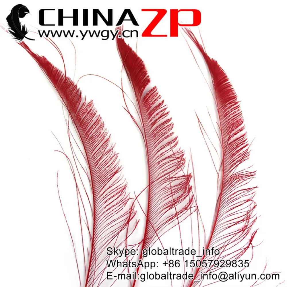 CHINAZP Factory 100pcs/lot 30-40cm(12~16inch) Length Unique Decoration Dyed Red Peacock Swords Cut Feathers
CHINAZP Factory 100pcs/lot 30-40cm(12~16inch) Length Unique Decoration Dyed Red Peacock Swords Cut Feathers