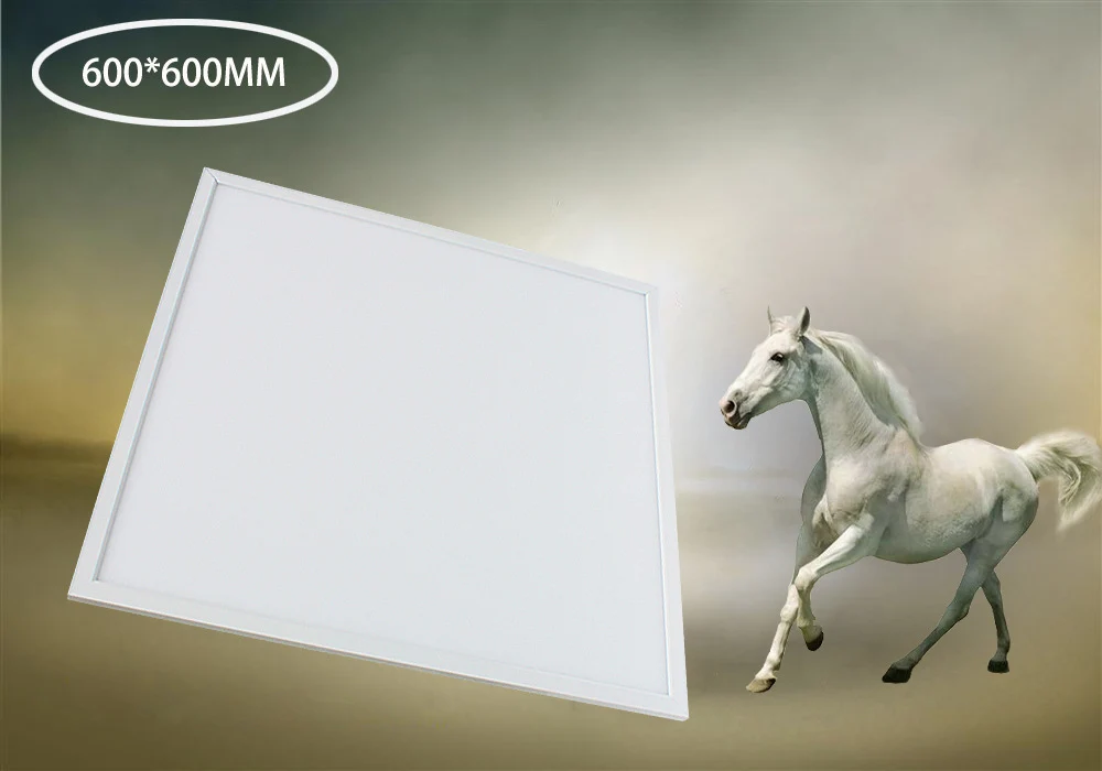 Free Shipping fedex Shipment 120Lm/W Isolated Driver DALI dimmable non-flicker PMMA cover ultra slim Flat led panel light
Free Shipping fedex Shipment 120Lm/W Isolated Driver DALI dimmable non-flicker PMMA cover ultra slim Flat led panel light