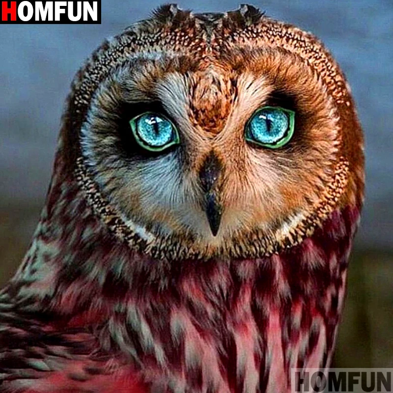 HOMFUN Full Square/Round Drill 5D DIY Diamond Painting "Animal owl" 3D Embroidery Cross Stitch 5D Decor Gift A13175
HOMFUN Full Square/Round Drill 5D DIY Diamond Painting "Animal owl" 3D Embroidery Cross Stitch 5D Decor Gift A13175
