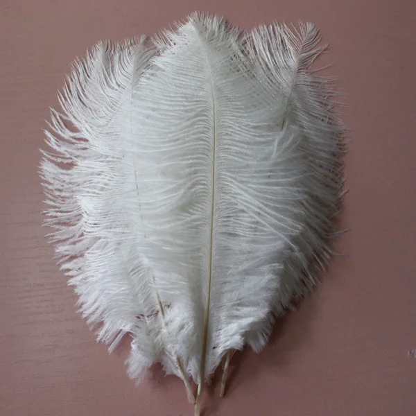 50Pcs 6-8''(15-20cm) High Quality New Style Real Natural White Ostrich Feathers Wedding Decoration
50Pcs 6-8''(15-20cm) High Quality New Style Real Natural White Ostrich Feathers Wedding Decoration