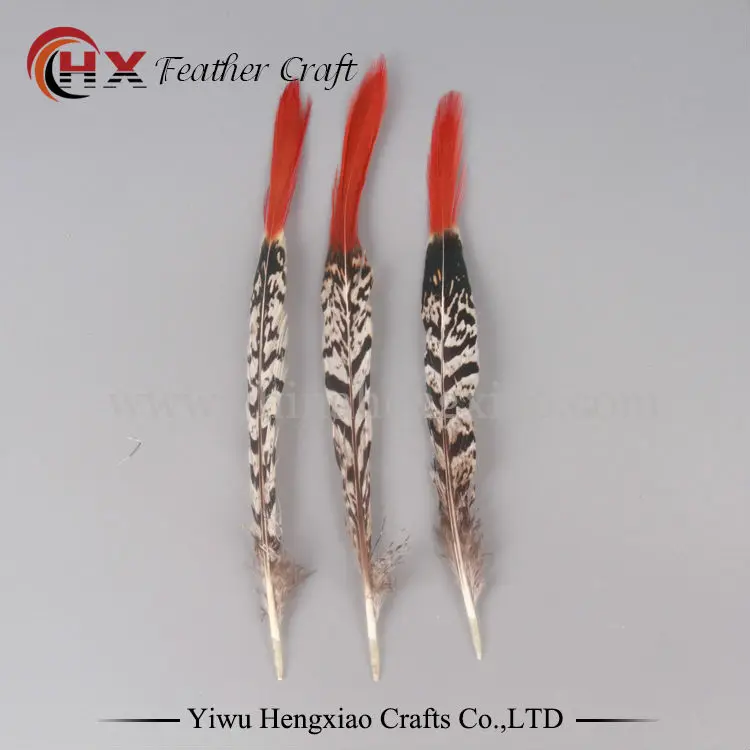 10pcs DIY feather natural Lady Amherst Pheasant Feather 5 kind size select pheasant tail feather plume decoration accessories
10pcs DIY feather natural Lady Amherst Pheasant Feather 5 kind size select pheasant tail feather plume decoration accessories